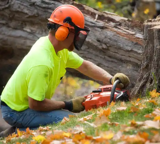 tree services Keyport